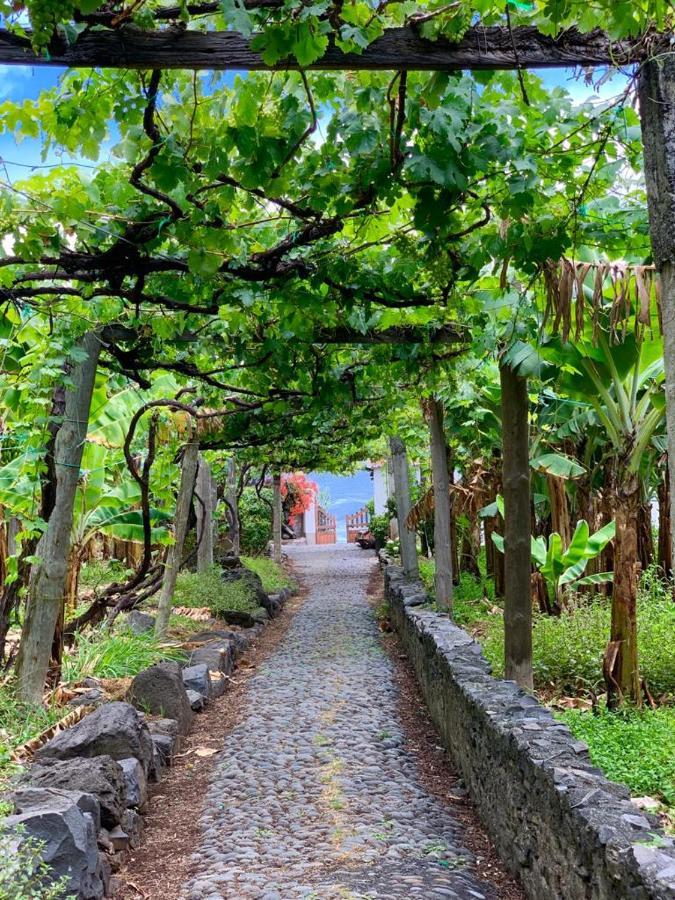 Faja Dos Padres Hébergement de vacances Ribeira Brava