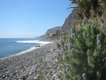 Hébergement de vacances Faja Dos Padres