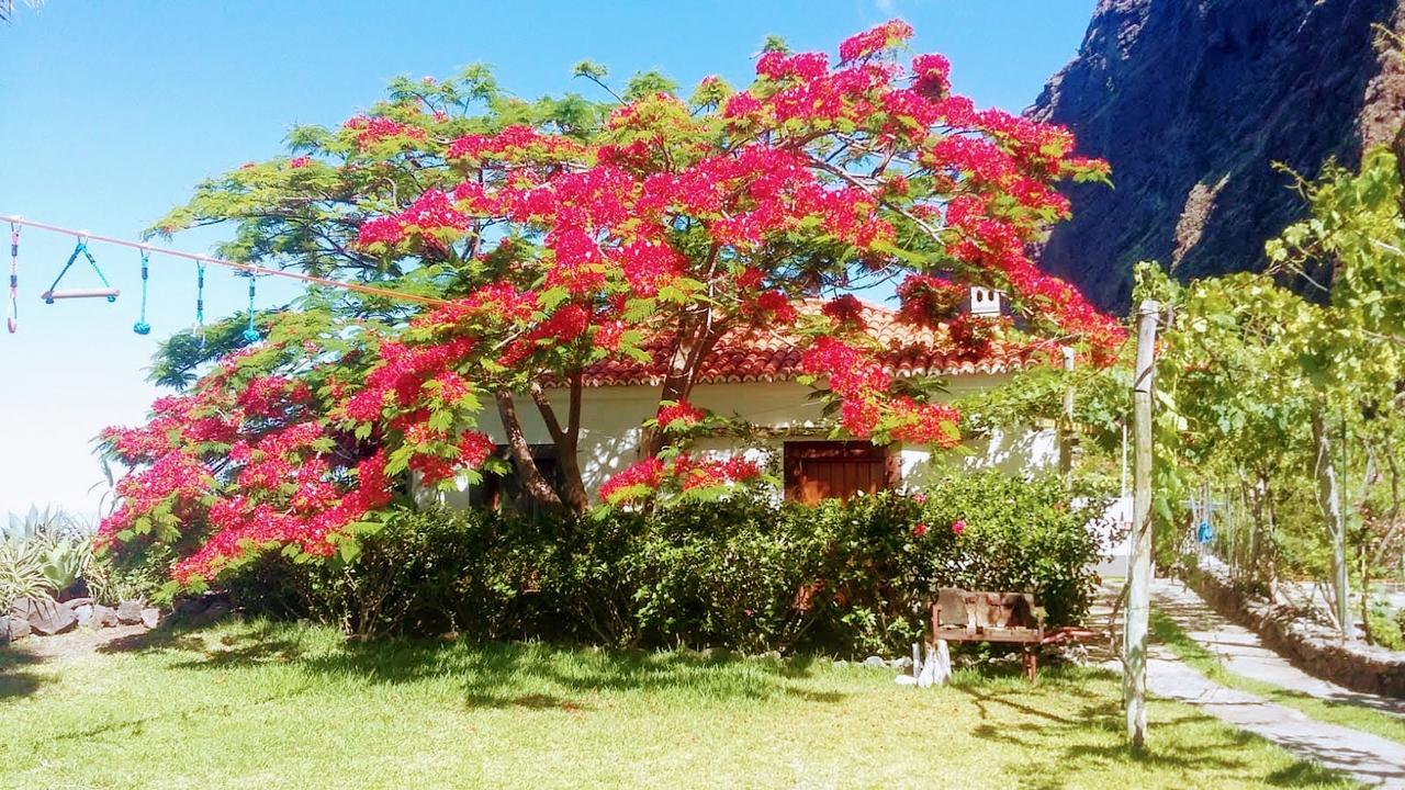 Ferienhaus Faja Dos Padres