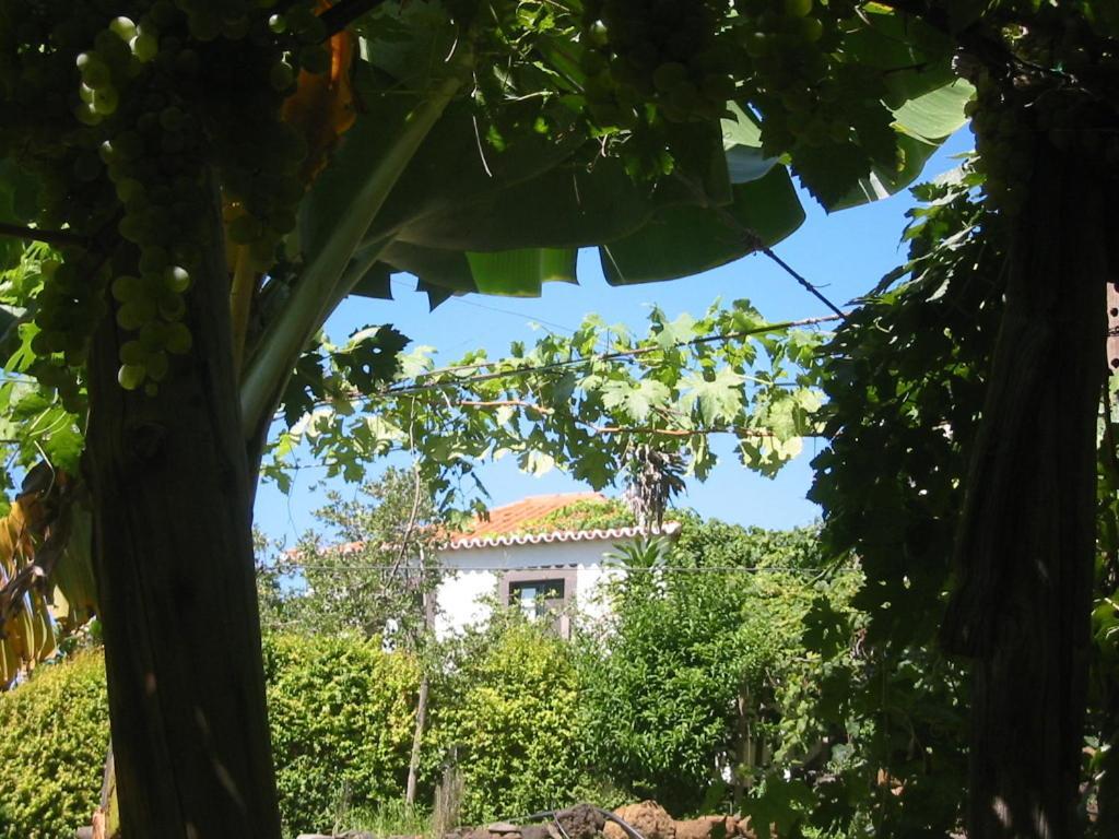 Faja Dos Padres Ferienhaus Ribeira Brava